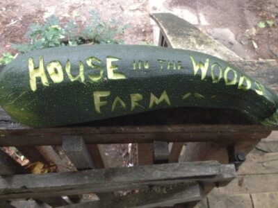 Uses for Over-Sized Zucchini Image